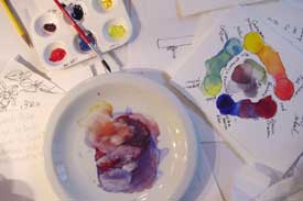 Color Plate